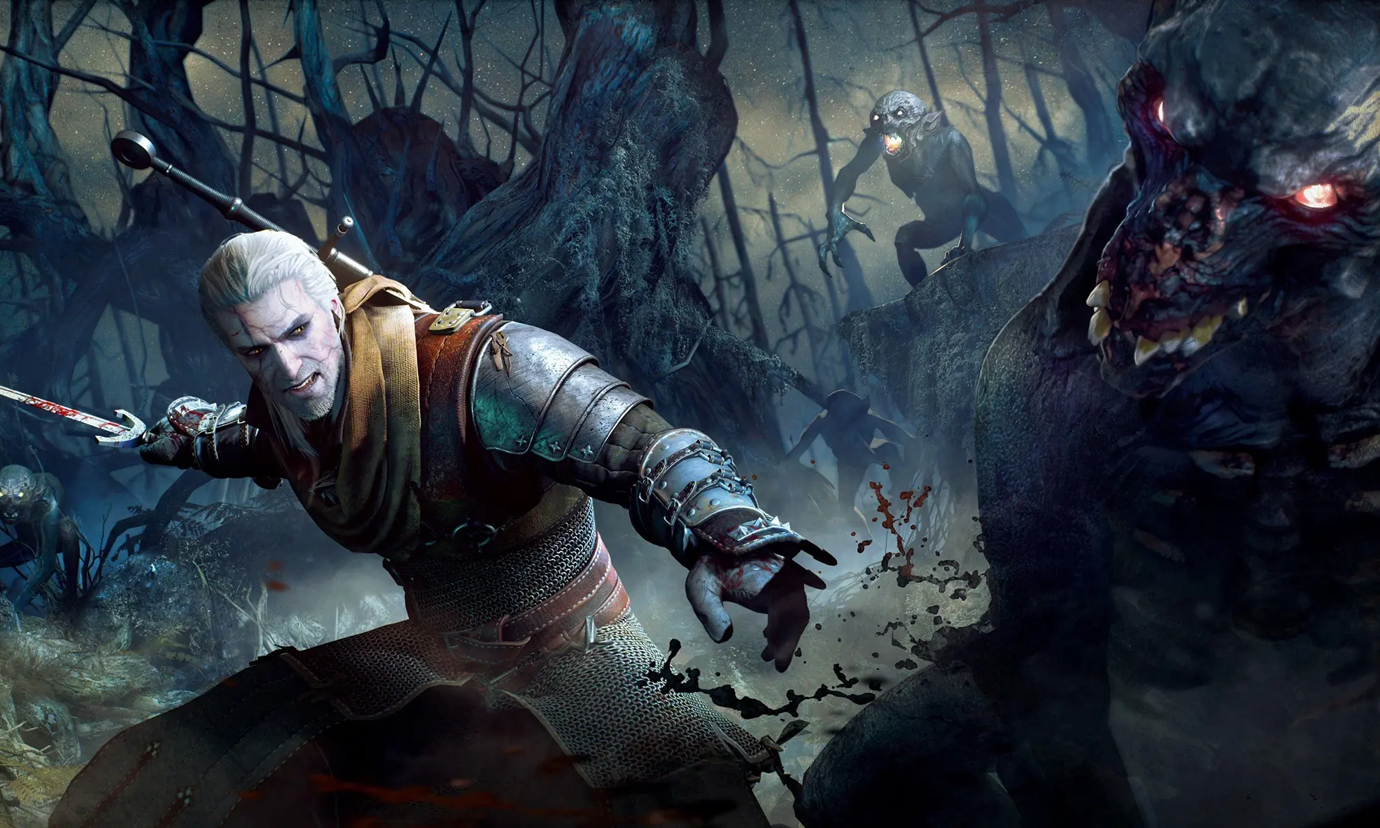 The Witcher game