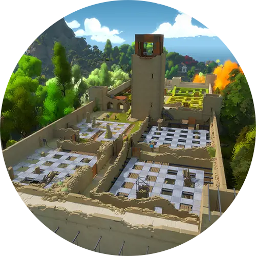 The Witness
