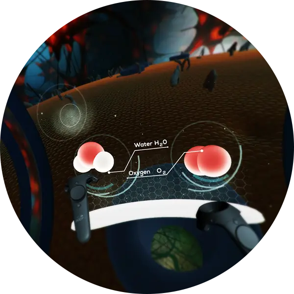 The Body VR