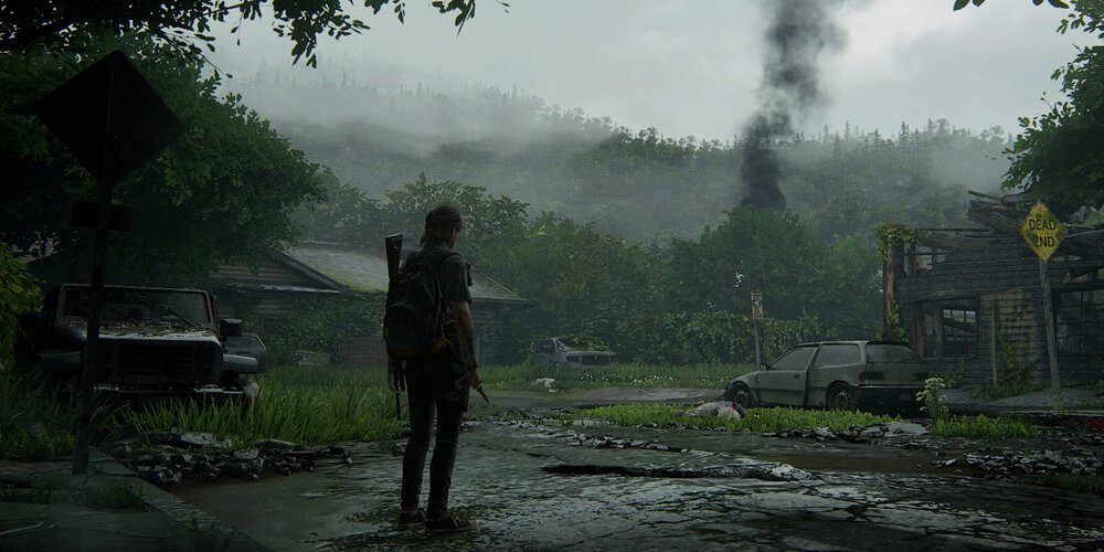 3d environment Last of Us-1